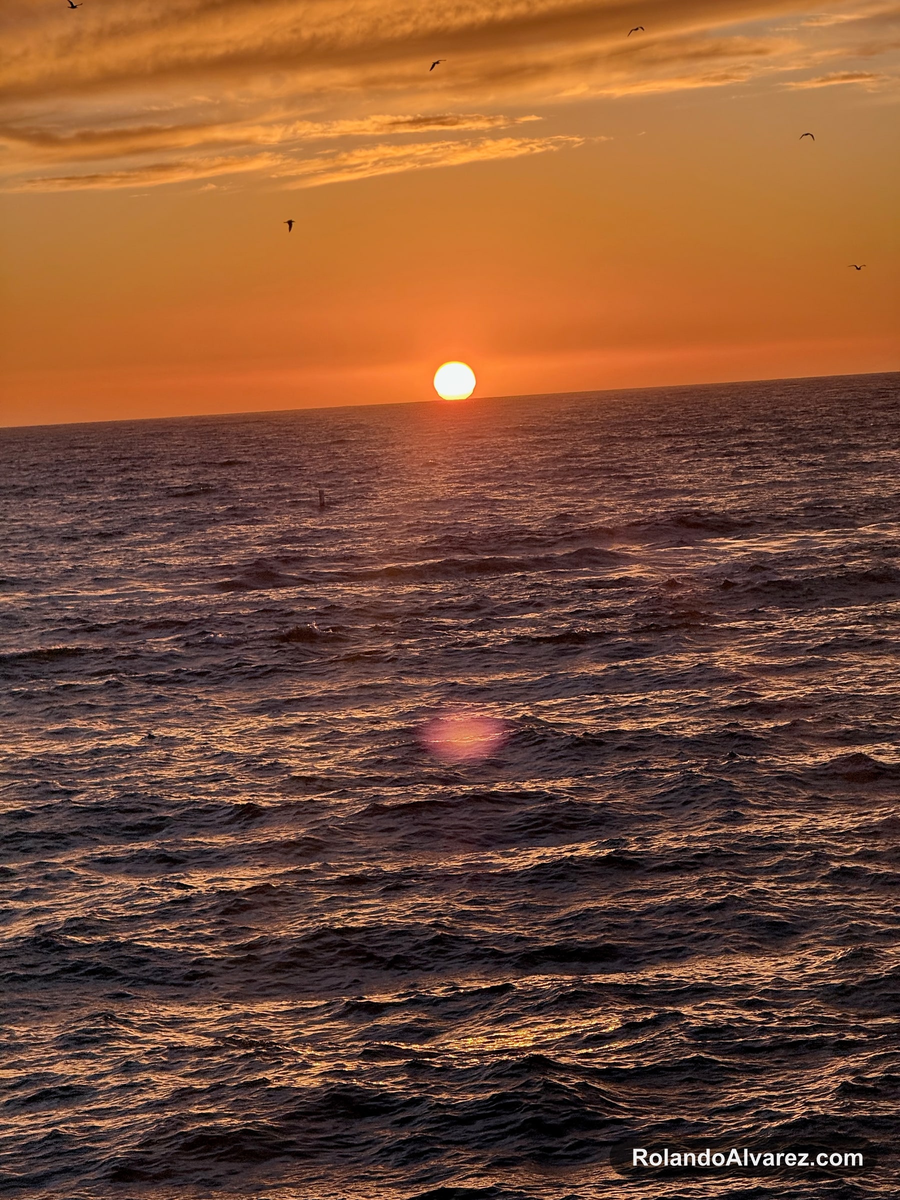 Orange sun setting over the Pacific Ocean with birds overhead