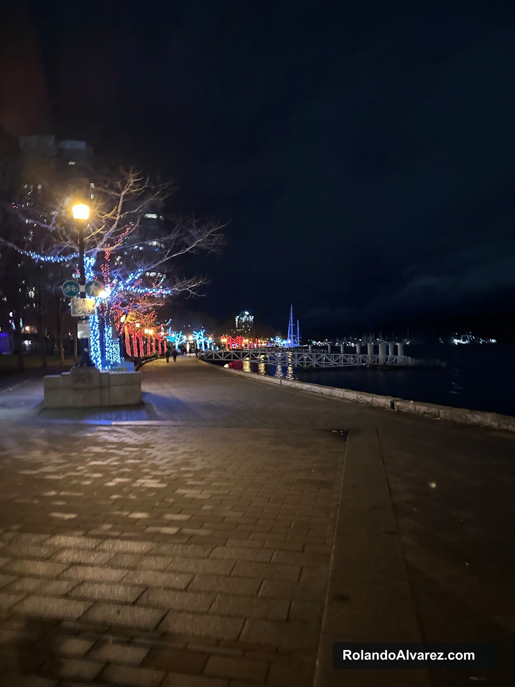 Colourful holiday lights along the waterfront at Harbour Green Park